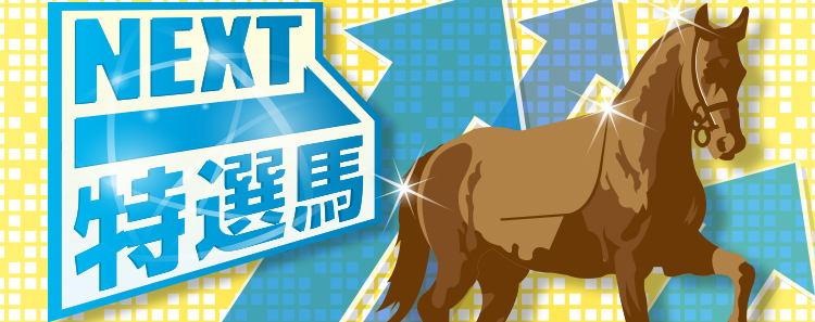 NEXT特選馬