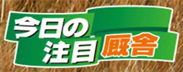 今日の注目厩舎