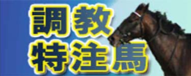調教特注馬